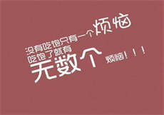 sw车牌推荐
